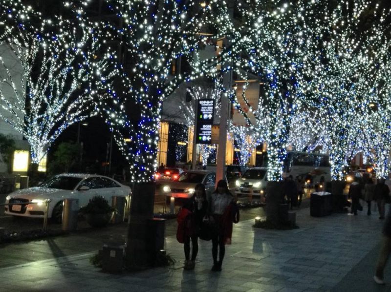 Dạo phố phường